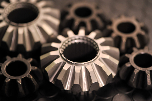 1106 lsd 2 DSC_4191.jpg